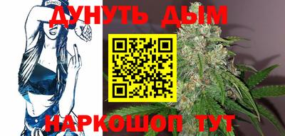 крисы Шелехов