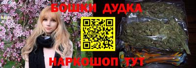 крисы Шелехов