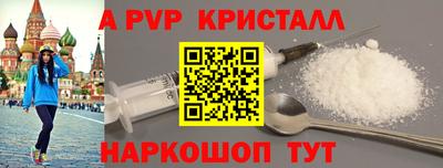 крисы Шелехов